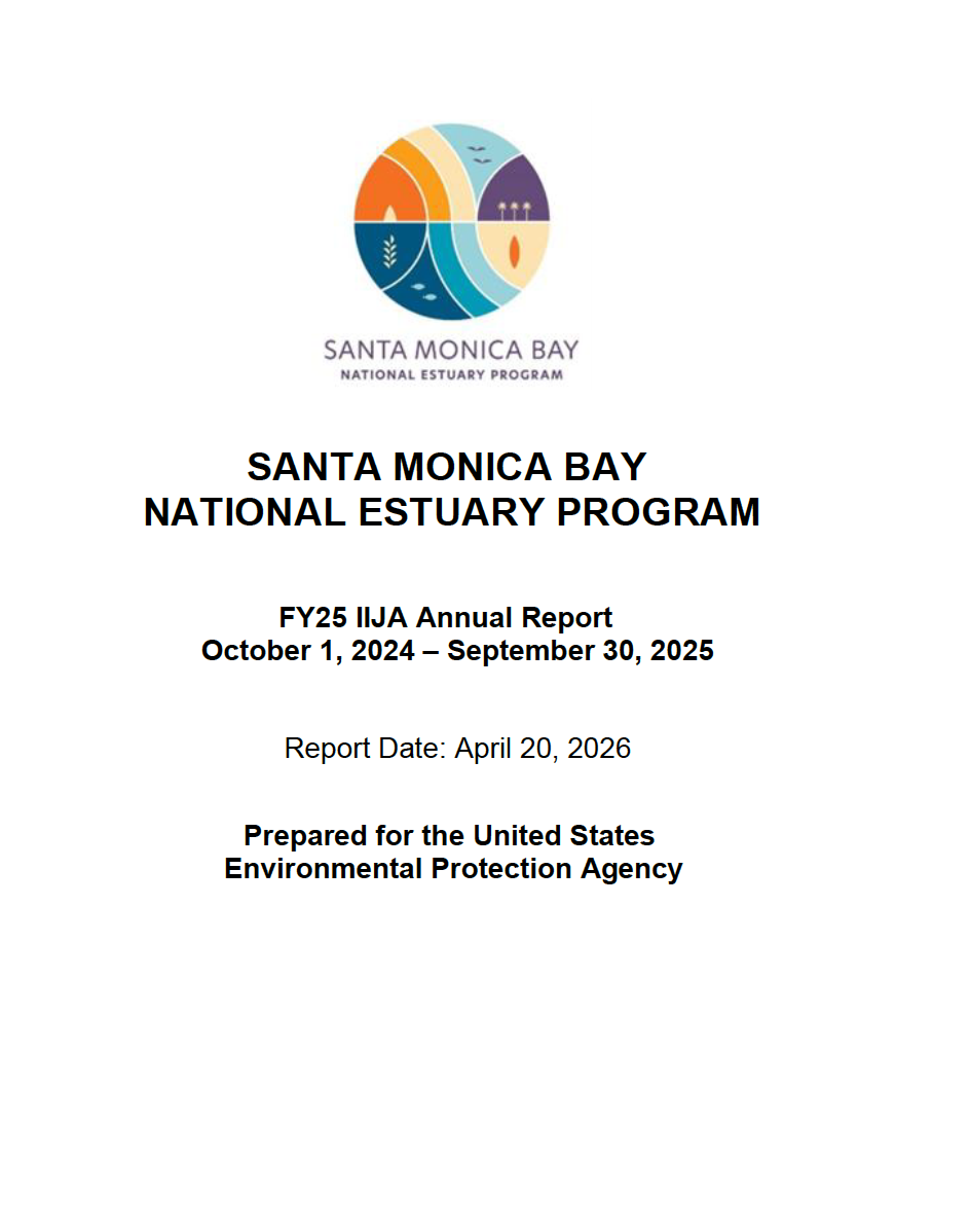 SMBNEP logo, annual report title